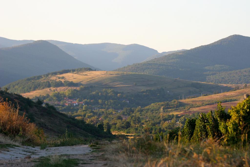 דירות Tolcsva Cziroka Vendeghaz מראה חיצוני תמונה